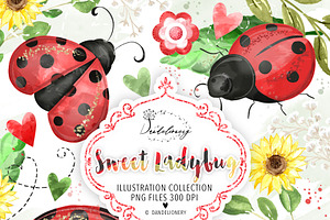 Sweet Ladybug Design