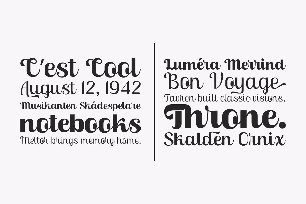 Skinno — A Variable Script Typeface, a Script Font by Skinny Type (Photo 6 of 10)