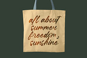 Pluretta Vintage Modern Brush Font, a Serif Font by Letterena Studios Script (Thumbnail 2 of 20)