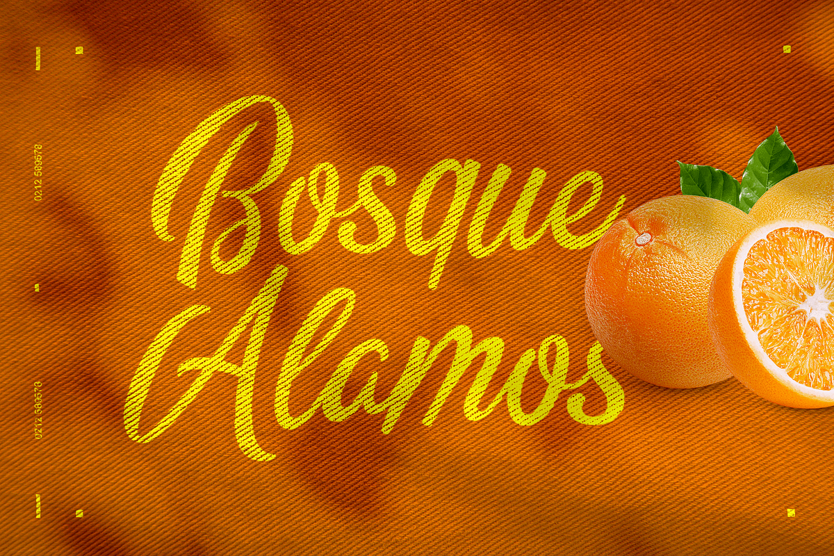 Almanor Peninsula, a Script Font by Subqi Std (Photo 7 of 9)