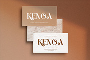 Vanniel || Modern Serif Font, a Serif Font by Ermedia Studio (Thumbnail 7 of 10)