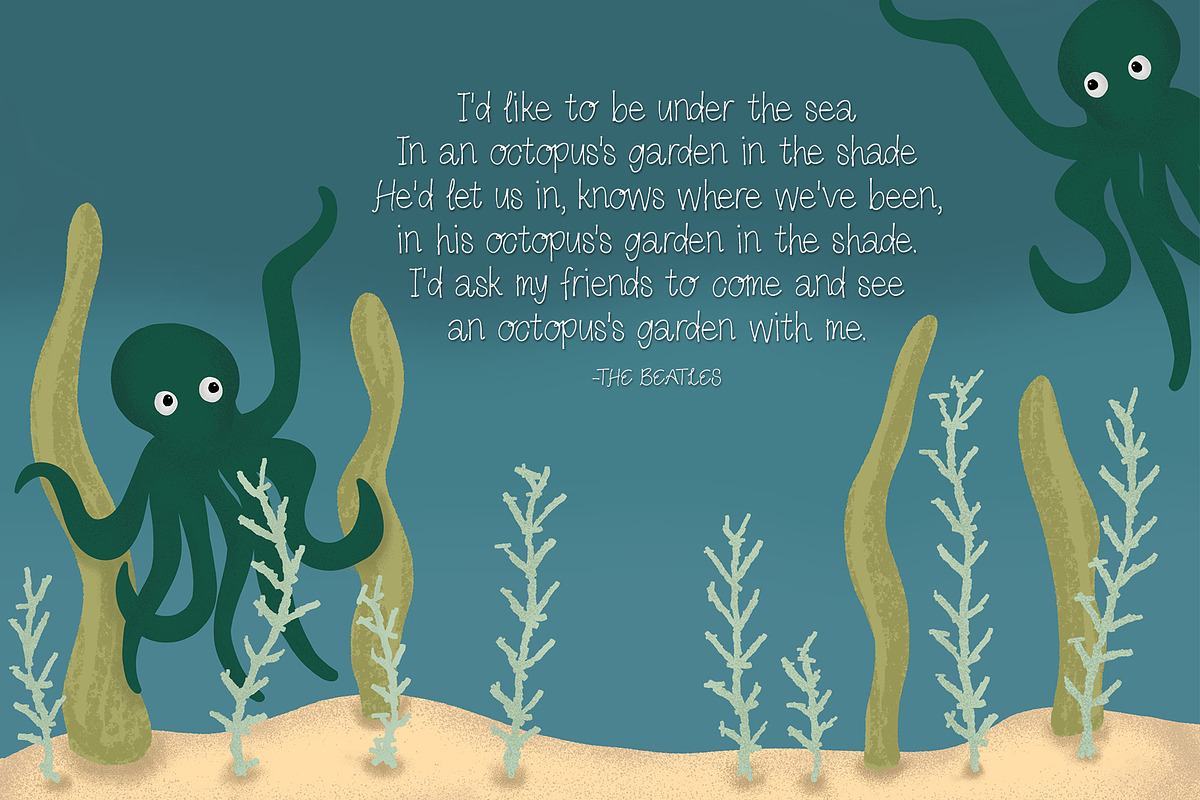 The Octopus's Garden Script preview 5