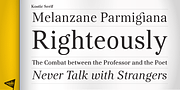 Kostic Serif, a Serif Font by Kostic Type Foundry (Thumbnail 4 of 9)