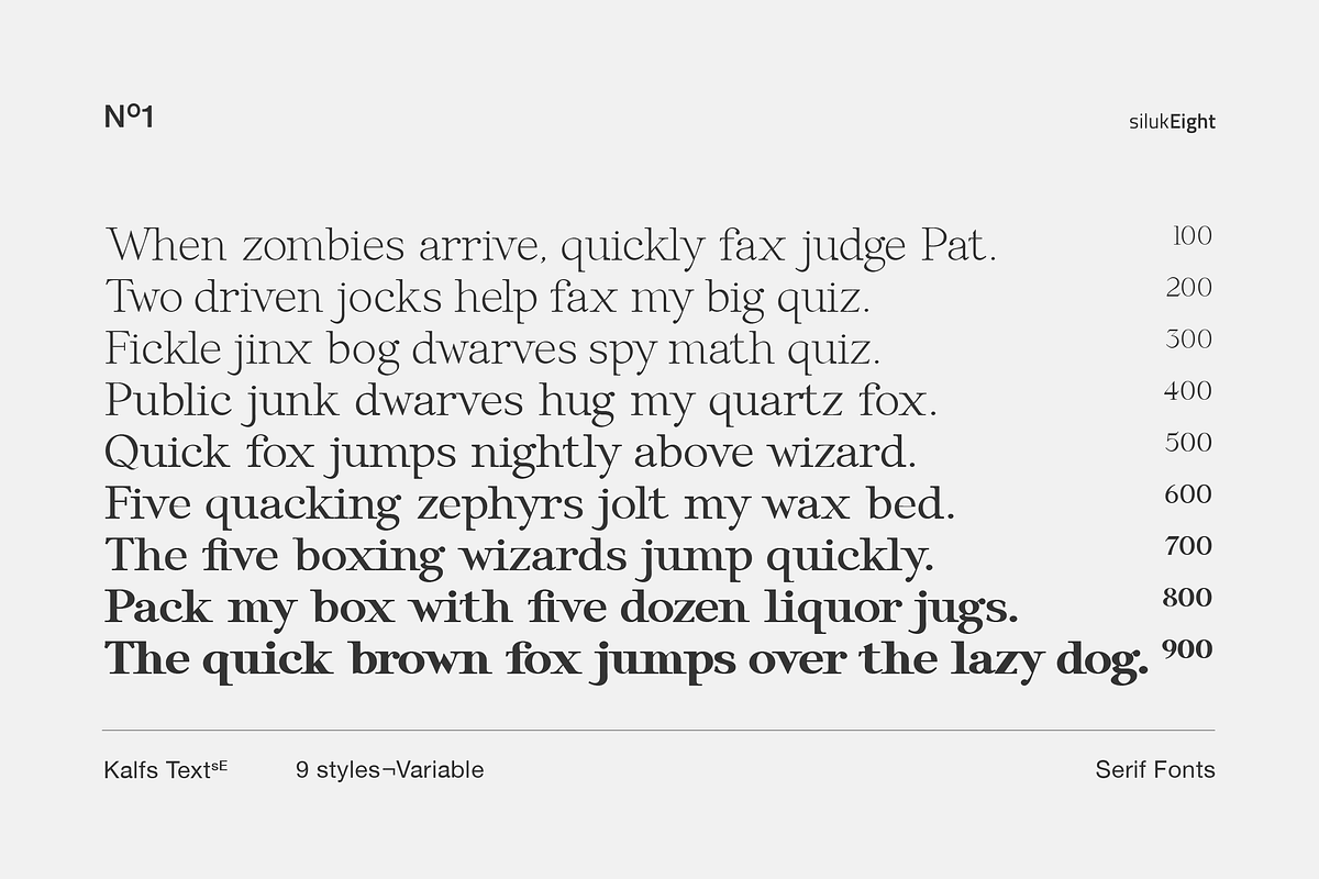 Kalfs Text sE, a Serif Font by silukEight (Photo 9 of 10)