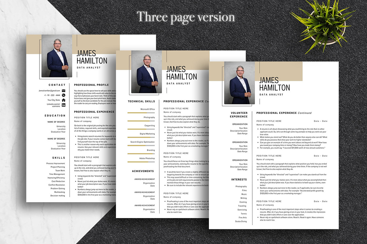 Clean Canva CV Template Pack | Canva, a Resume Template by Lux Resume (Photo 3 of 8)