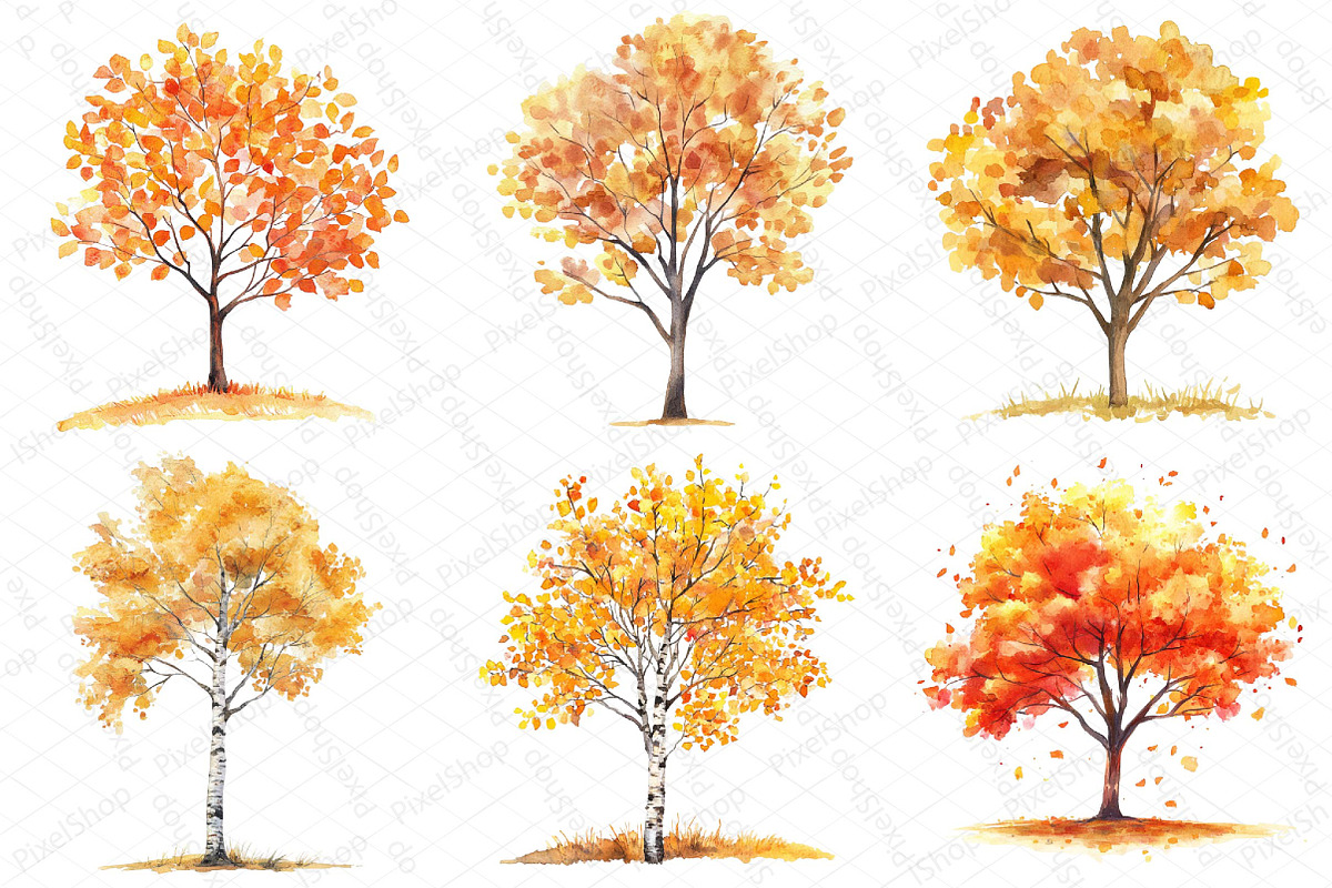 Watercolor Fall Autumn Tree Clipart, an Illustration by DreamPrint404 (Photo 4 of 6)