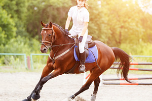 Young girl on horse at show jumping competition containing equestrian