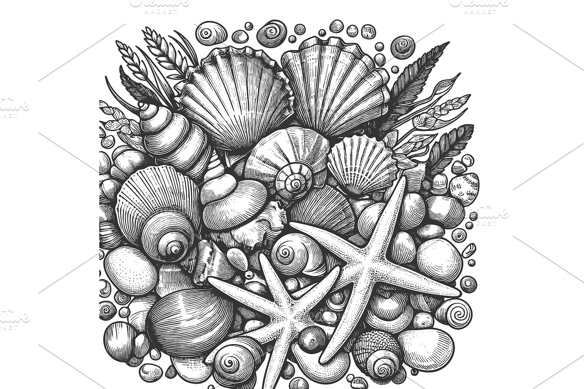 Seashell and starfish beach, an Illustration by AlexArt