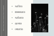 Abogia - Modern Serif Logo Font, a Serif Font by Nirmana Visual (Thumbnail 4 of 16)