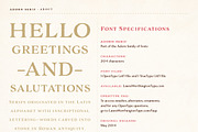 Adorn Collection, a Sans Serif Font by Laura Worthington (Thumbnail 38 of 62)