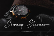 Magnificent Signature Font, a Script Font by Bluestype Studio (Thumbnail 5 of 9)