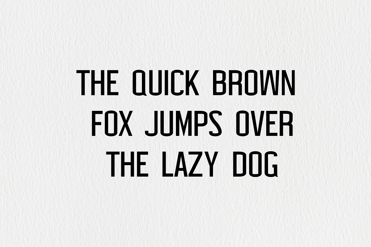 Carolin Duo 5 Font Family Pack preview 3