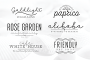 Salve Font Collection, a Script Font by Ahmet Altun (Thumbnail 3 of 6)