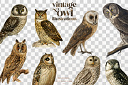 Vintage owl illustrations, an Animal Illustration by Natalka Dmitrova art (Thumbnail 2 of 7)