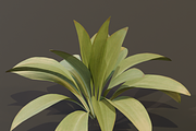 The Haran Bush, a Plants & Tree 3D Model by FuturePastCreatives (Thumbnail 10 of 13)