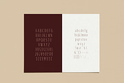 Fiora Font | Modern Display + Extras, a Font by The Styled Script (Thumbnail 7 of 9)