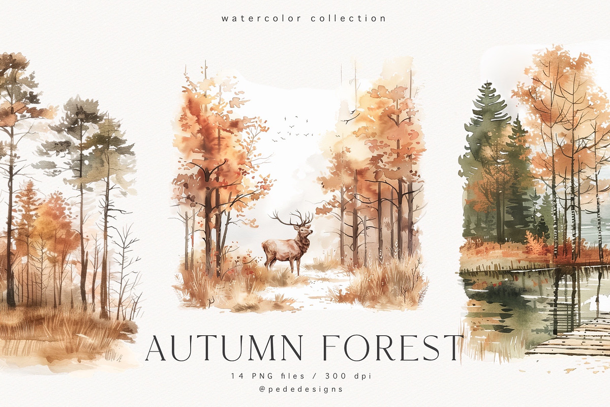 Autumn Forest, a Seasonal Illustration by PeDe Designs (Photo 1 of 7)