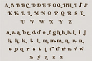 Dakosta | Retro Serif Typeface, a Serif Font by MchCrafter (Thumbnail 14 of 15)