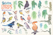 Garden birds watercolor clipart, an Animal Illustration by Art & Things (Thumbnail 3 of 4)