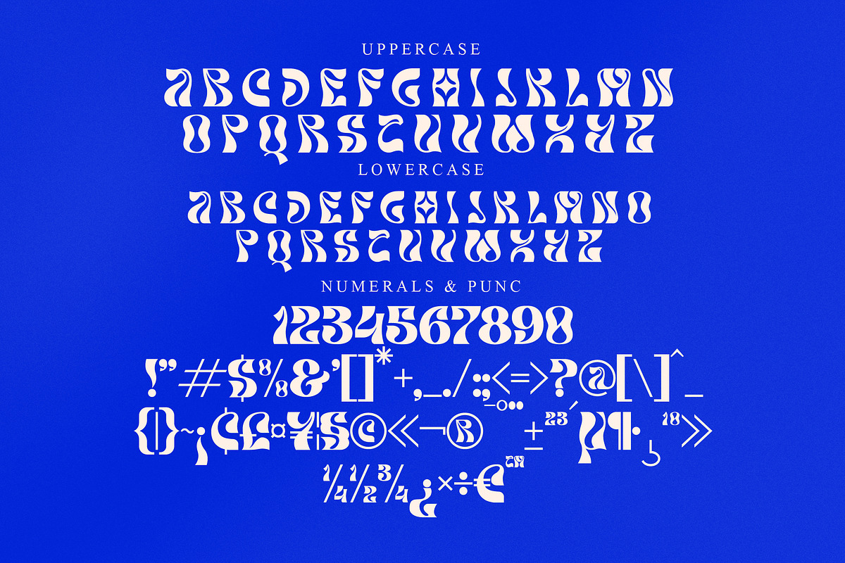 Charley Unique Display Font, a Serif Font by Storytype Studio (Photo 12 of 14)