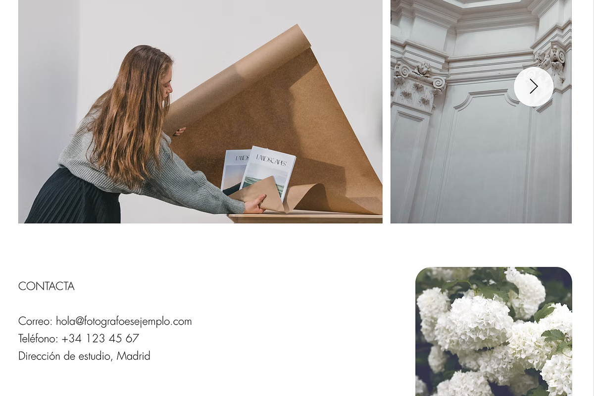 Portfolio Website Template preview 4