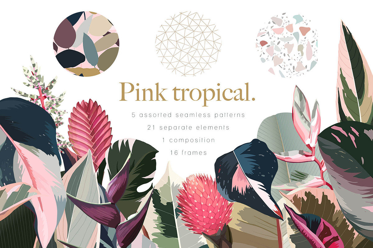 Pink tropical frames and patterns, an Illustration by marie dricot (Photo 1 of 15)