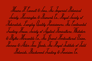 Karamello, a Script Font by SAMPLE (Thumbnail 5 of 5)