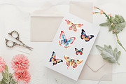 Butterfly Sublimation Clipart, an Animal Illustration by Volha (Thumbnail 3 of 4)
