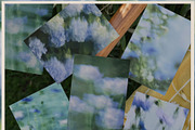 Summermist Floral Backgrounds, a Background Graphic by lerinartstudio (Thumbnail 3 of 10)
