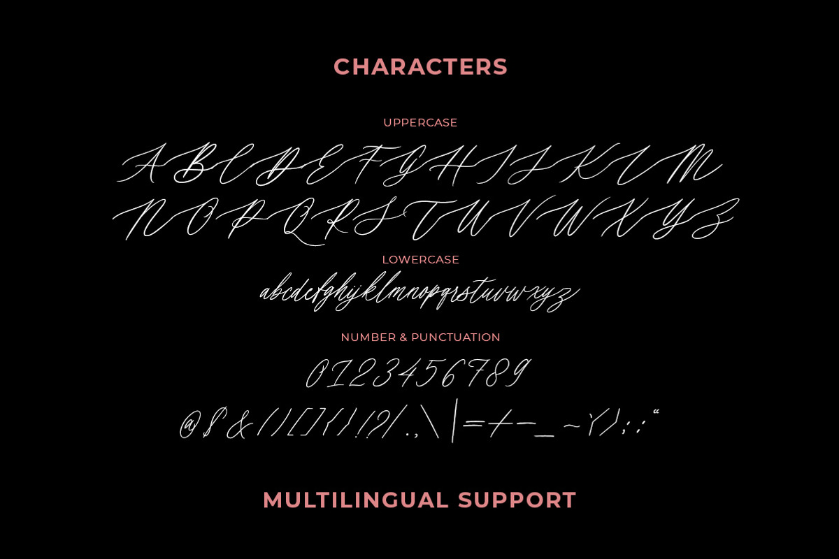 Erlinka Hillary - Signature Font, a Script Font by Letterhend Studio (Photo 5 of 10)