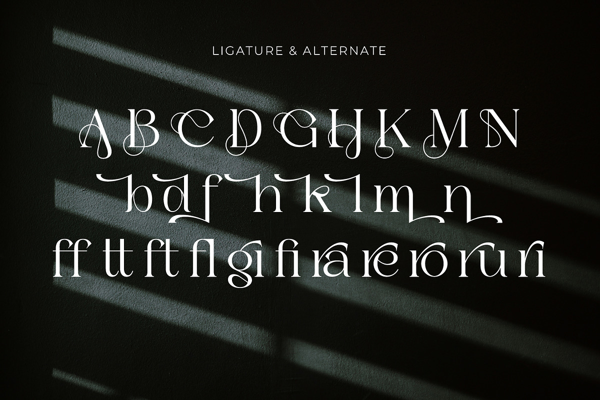 Barefuel - Serif Typeface Font, a Serif Font by Rishsketch (Photo 12 of 15)