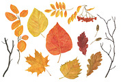 Autumn watercolor collection, an Illustration by ramika (Thumbnail 4 of 5)