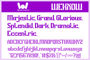The Magnificent font, a Blackletter Font by weknow (Thumbnail 5 of 8)