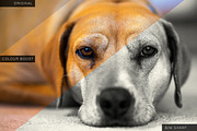 30 Actions Bundle, an Action Add-On by Mayde (Thumbnail 3 of 5)