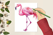 Watercolor Safari Friends Clipart, a Seasonal Illustration by CitraGraphics (Thumbnail 6 of 7)