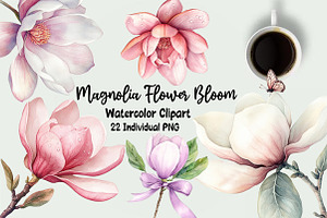Magnolia Flower Bloom Clipart, an Illustration by OK Design