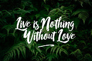 RofiTaste Typeface, a Script Font by alit design (Thumbnail 11 of 11)