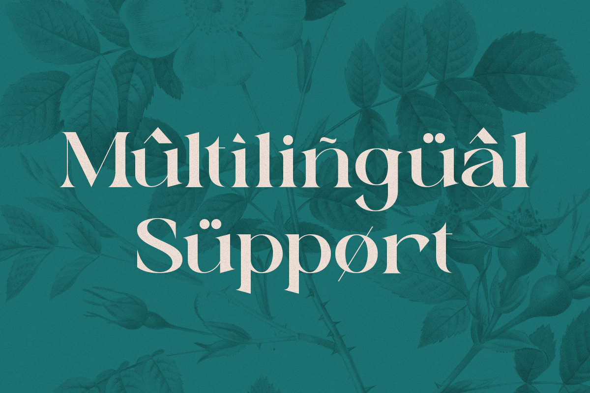 Sunny Paradise - Decorative Typeface, a Serif Font by Windfall Co (Photo 11 of 11)