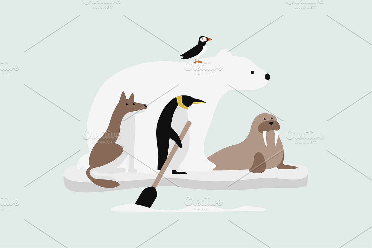 Arctic Animals Illustration, an Animal Illustration by Jump Studio (Photo 9 of 10)