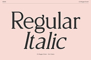 CS Reggie Drawn, a Serif Font by Craft Supply Co. (Thumbnail 4 of 8)