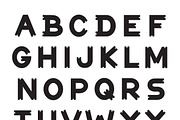 Notch, a Slab Serif Font by Satchel & Sage (Thumbnail 3 of 4)
