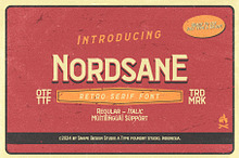 Nordsane - Retro Serif Font
