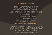 Bluzonir Stylish Sans Serif Font, a Sans Serif Font by Typebae (Thumbnail 8 of 8)