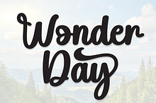 Wonder Day | Script Font