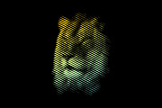 Line Art Lion Logo, a Branding & Logo Template by Designs Basket (Thumbnail 3 of 5)