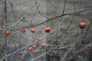 Kasane - Japanese Paper Overlays, a Texture Graphic by alonahaidash (Thumbnail 11 of 22)