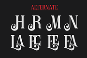 Romelly - A Modern Serif Font, a Serif Font by Marvadesign (Thumbnail 6 of 7)