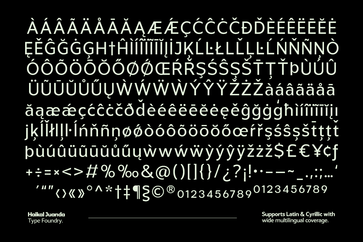 Gastrin, a Sans Serif Font by Pista Mova (Photo 11 of 12)
