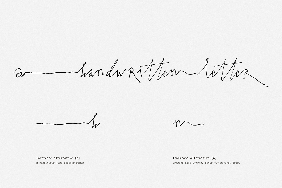 Bergamot // experimental, raw script, a Handwritten Font by PeachCreme (Photo 8 of 15)