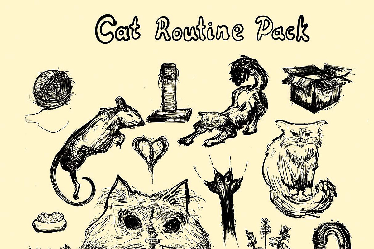 Animal Illustration Cat Routine Pack